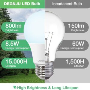 LED Light Bulbs Daylight 5000K, 60 Watt Equivalent LED Bulbs, A19 Standard Bulbs, 800 LM, 15000 Hours, E26 Base, Non-Dimmable, 8.5W LED Bulbs for Bedroom Living Room 24 Pack