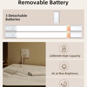 EZVALO Under Cabinet Lighting, 2-Pack Motion Sensor Lights with 3 Detachable Batteries, 76 LED Dimmable Closet Lights, 3 Color Temps, Under Counter Lights for Kitchen, Wardrobe, Pantry