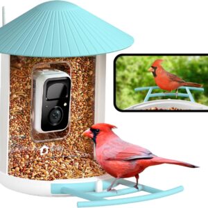 NETVUE by Birdfy Smart Bird Feeder with Camera, Bird Watching Camera, Auto Capture Video & Motion Detection, 1080P Live Steam, Cardinal Feeder Outdoor Wireless, Ideal Present for Backyard Birder, Blue